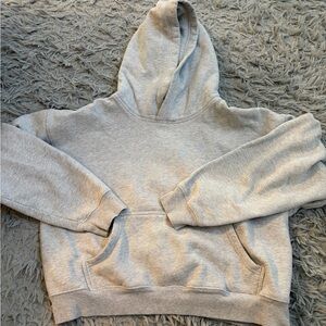 Aritzia Heather Gray cropped boyfriend hoodie